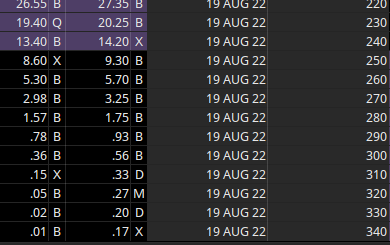 Option Chain August 19 22